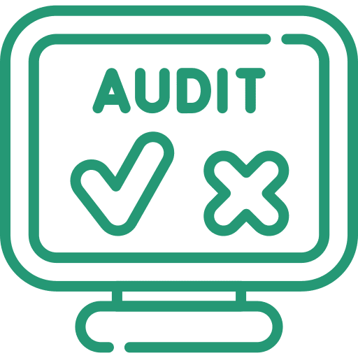 audit